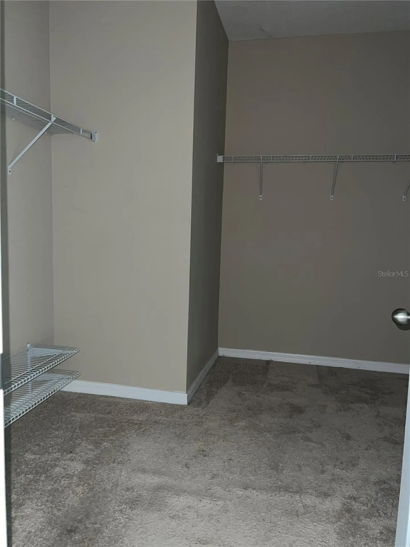 1073 Palma Verde Place Apopka FL 32712