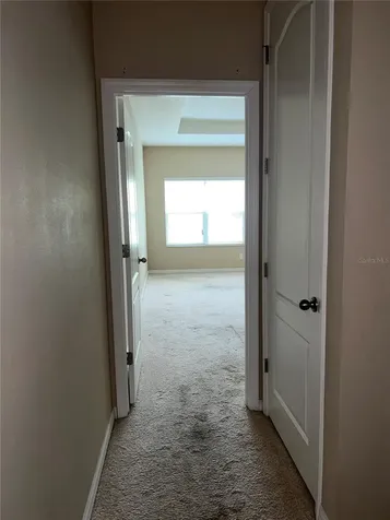 1073 Palma Verde Place Apopka FL 32712