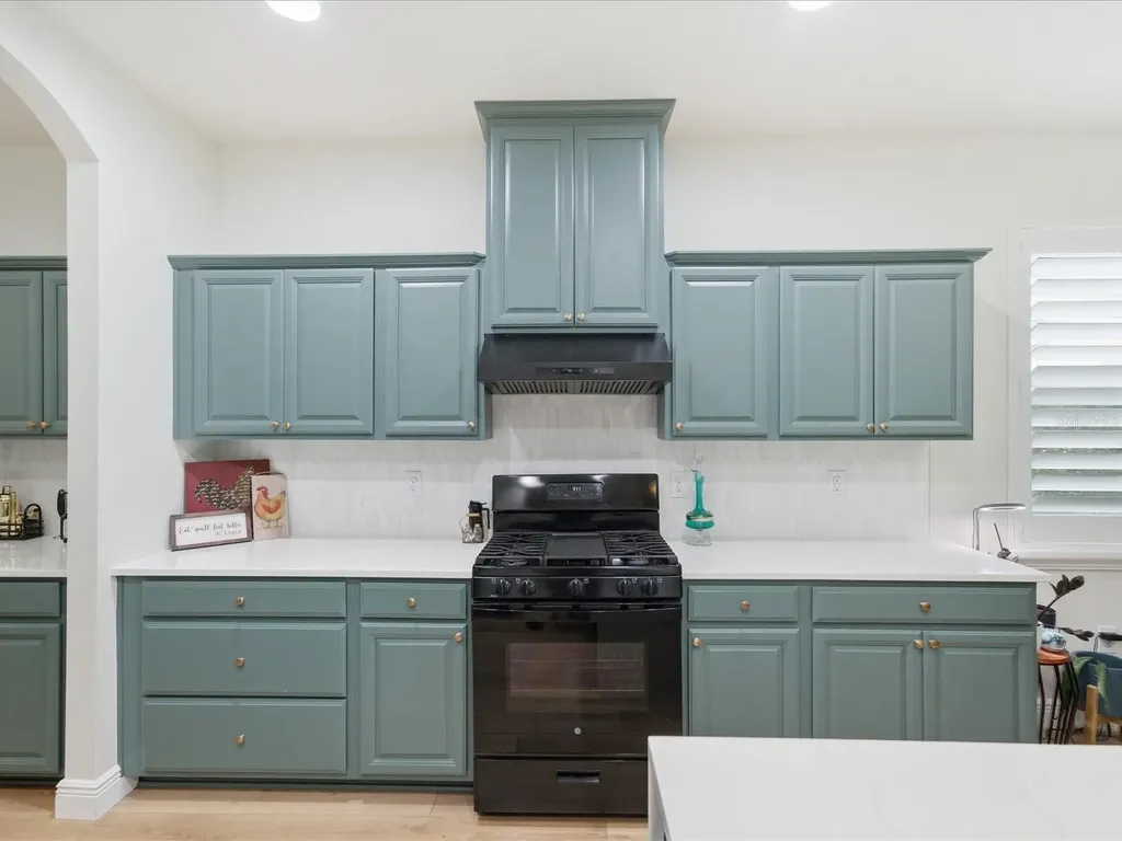 17735 Bright Wheat Drive Lithia FL 33547