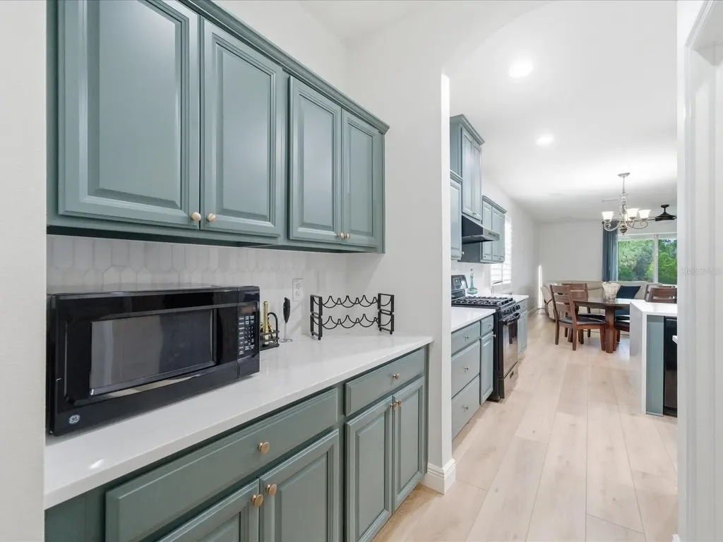 17735 Bright Wheat Drive Lithia FL 33547