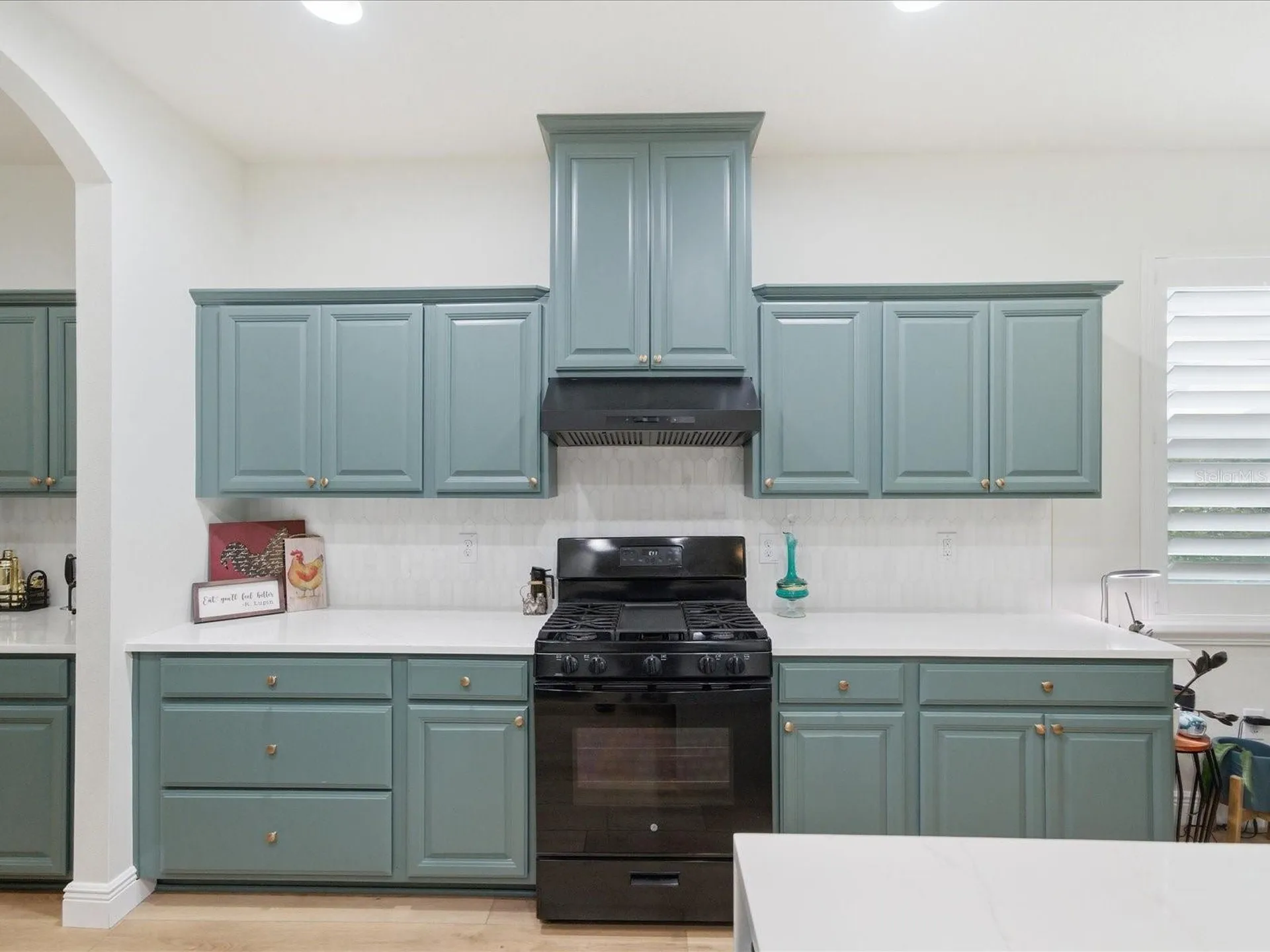 17735 Bright Wheat Drive Lithia FL 33547