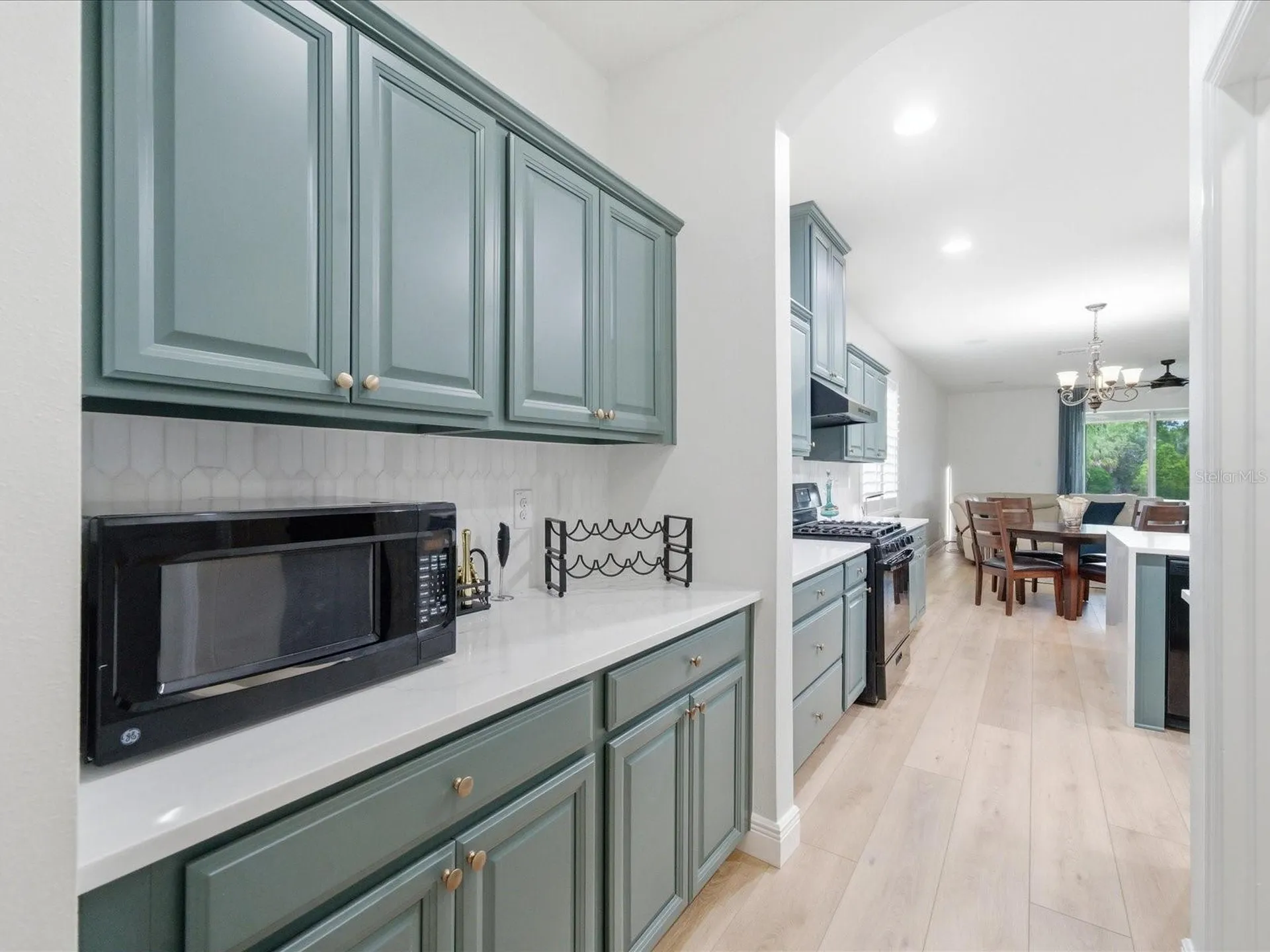 17735 Bright Wheat Drive Lithia FL 33547