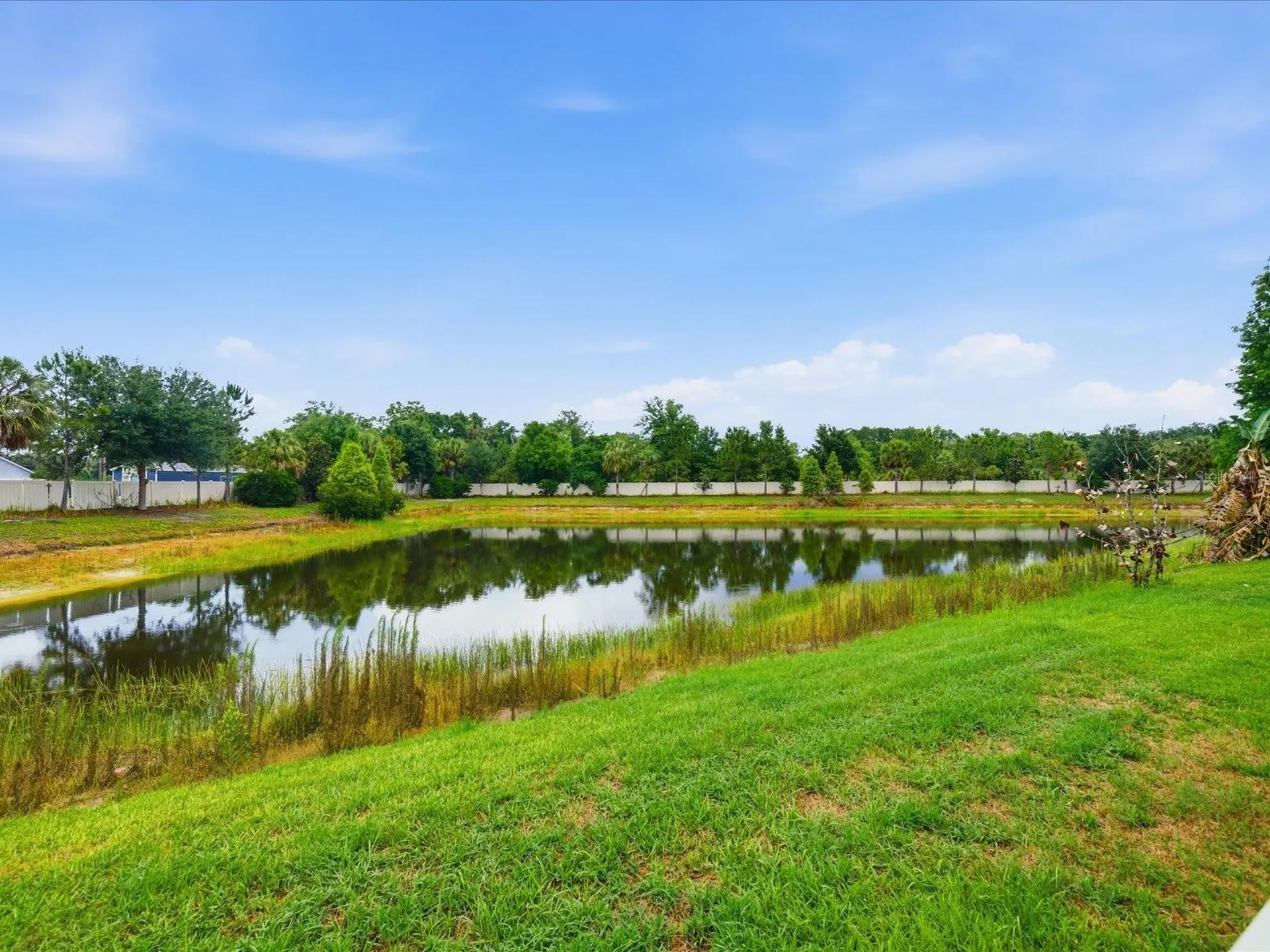 17735 Bright Wheat Drive Lithia FL 33547