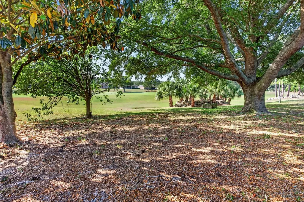 9077 SW 91st Circle Ocala FL 34481