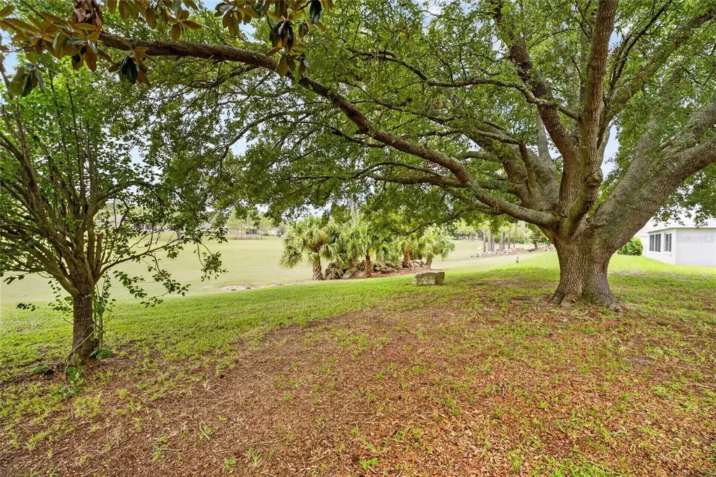 9077 SW 91st Circle Ocala FL 34481