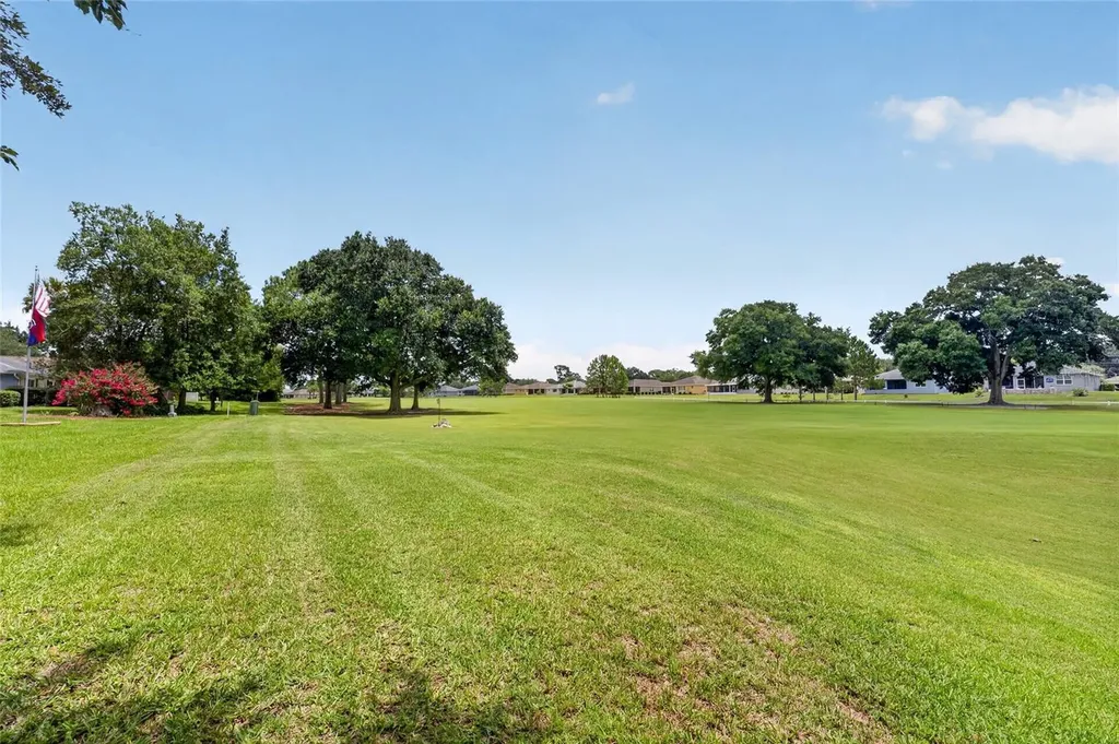 9077 SW 91st Circle Ocala FL 34481