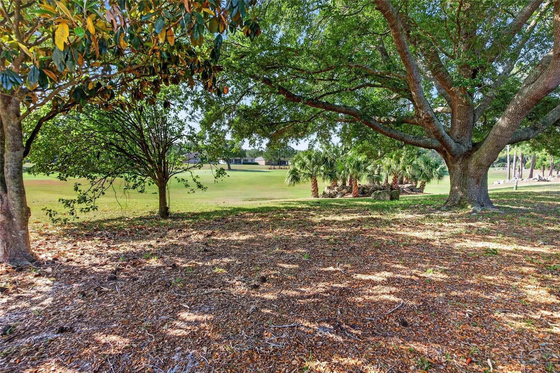 9077 SW 91st Circle Ocala FL 34481