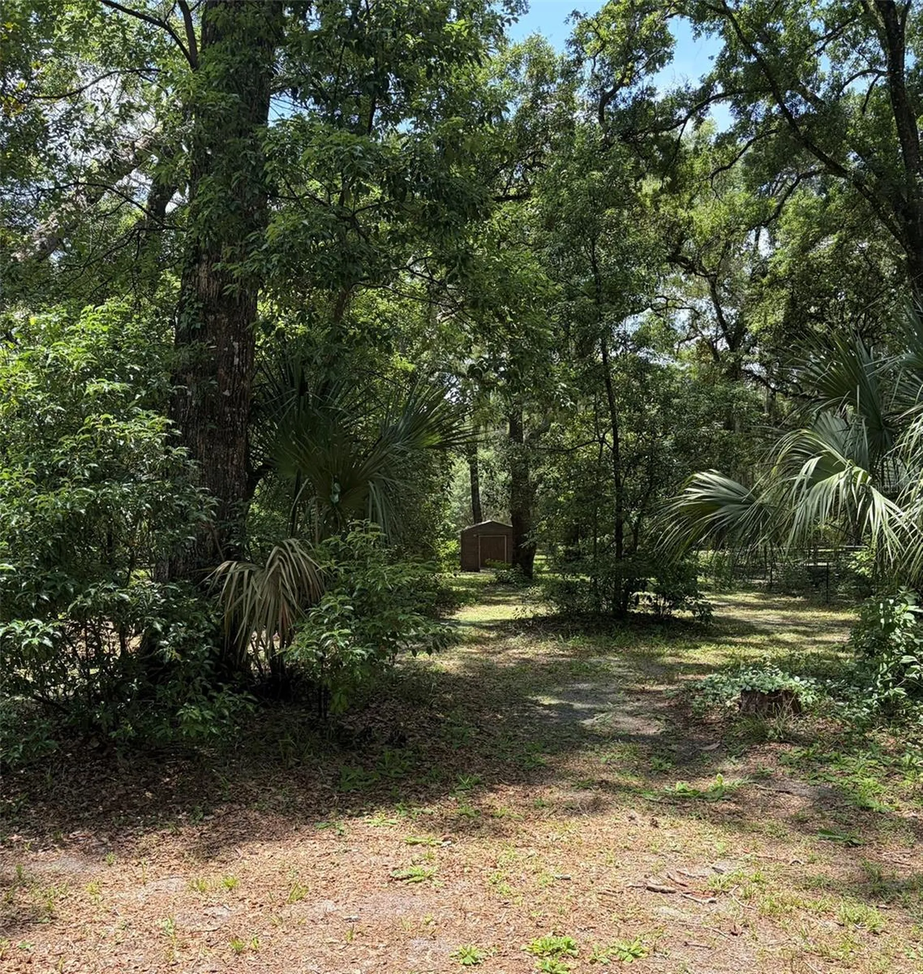 1750 Whippoorwill Lane Deland FL 32720