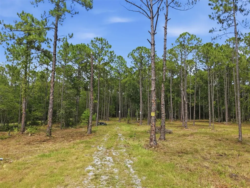 0 Altamonte Lane Odessa FL 33556