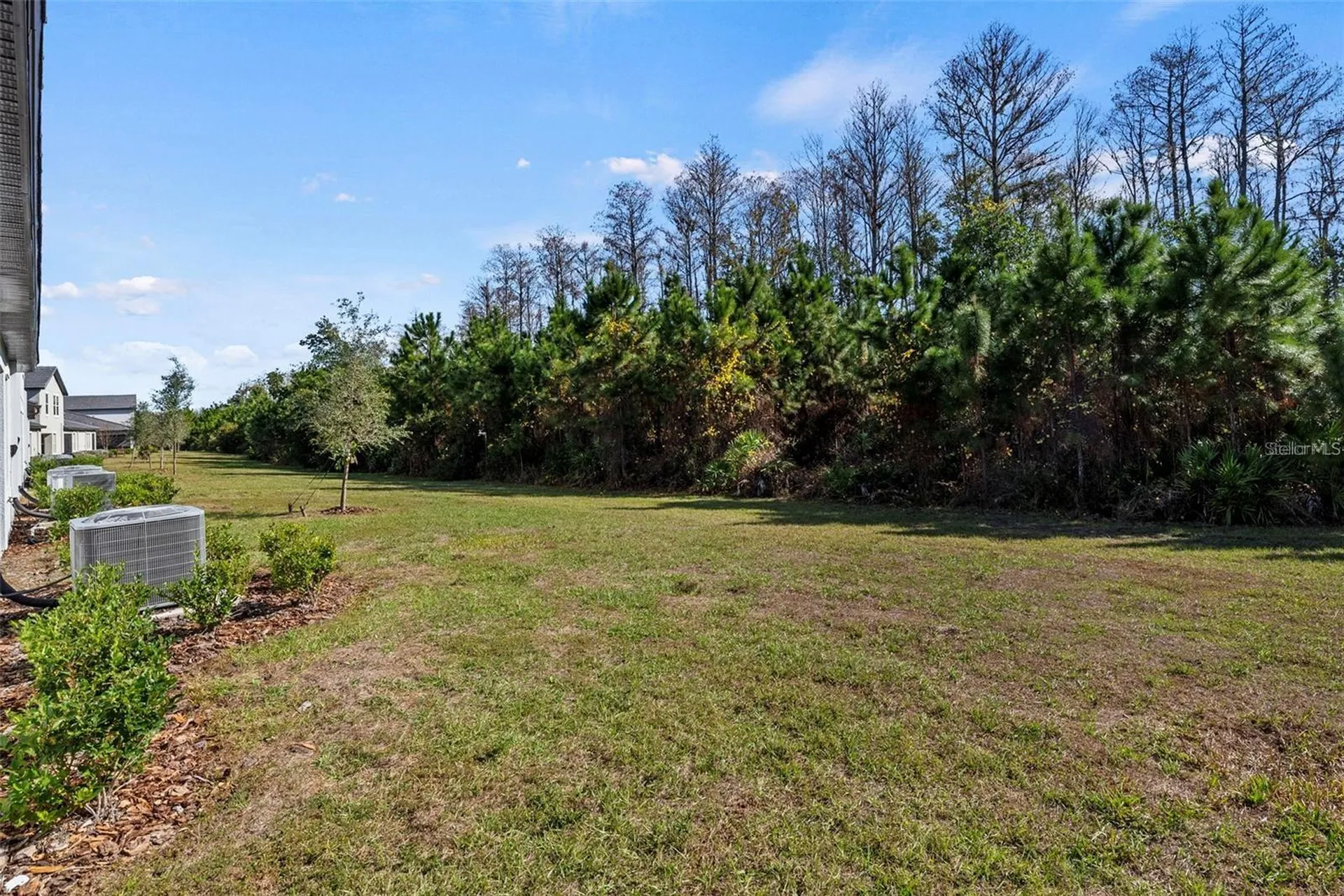 16890 Forge Surf Street Land O Lakes FL 34638