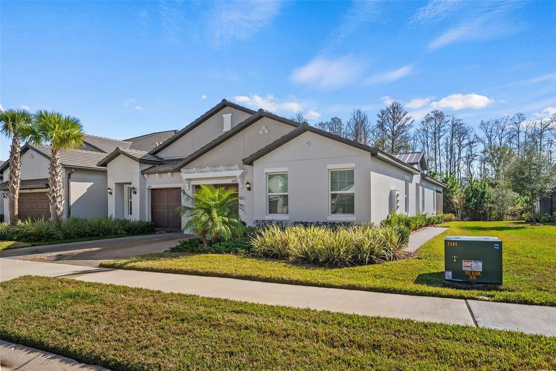 16890 Forge Surf Street Land O Lakes FL 34638