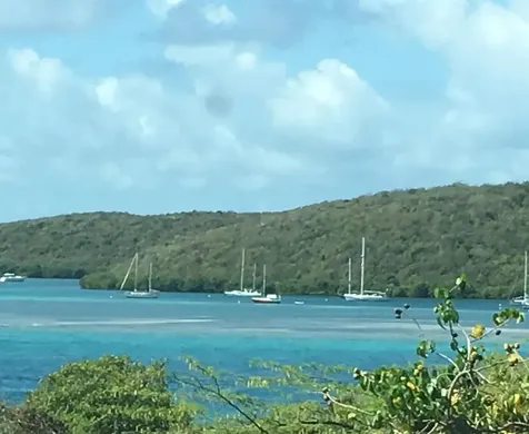 Punta Canero,bo. Frailes Costa Bonita Culebra PR 00775