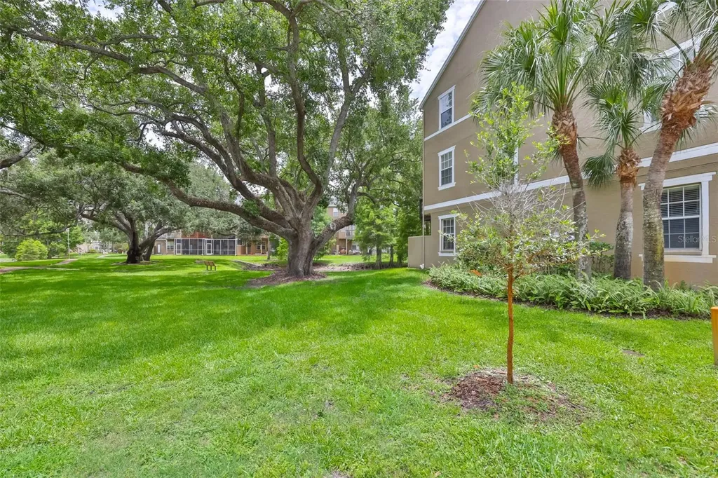 3002 Bayshore Pointe Drive Tampa FL 33611