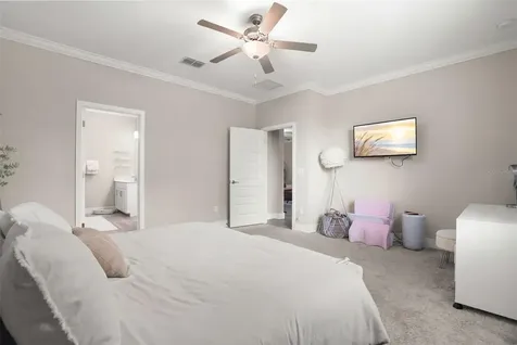 9890 Red Bay Loop Land O Lakes FL 34637