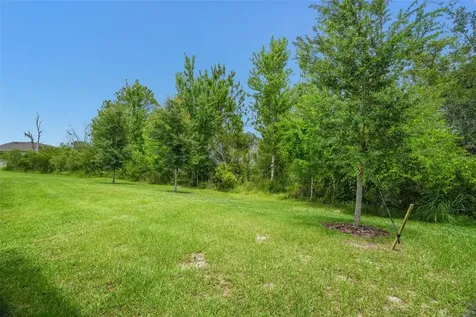9890 Red Bay Loop Land O Lakes FL 34637