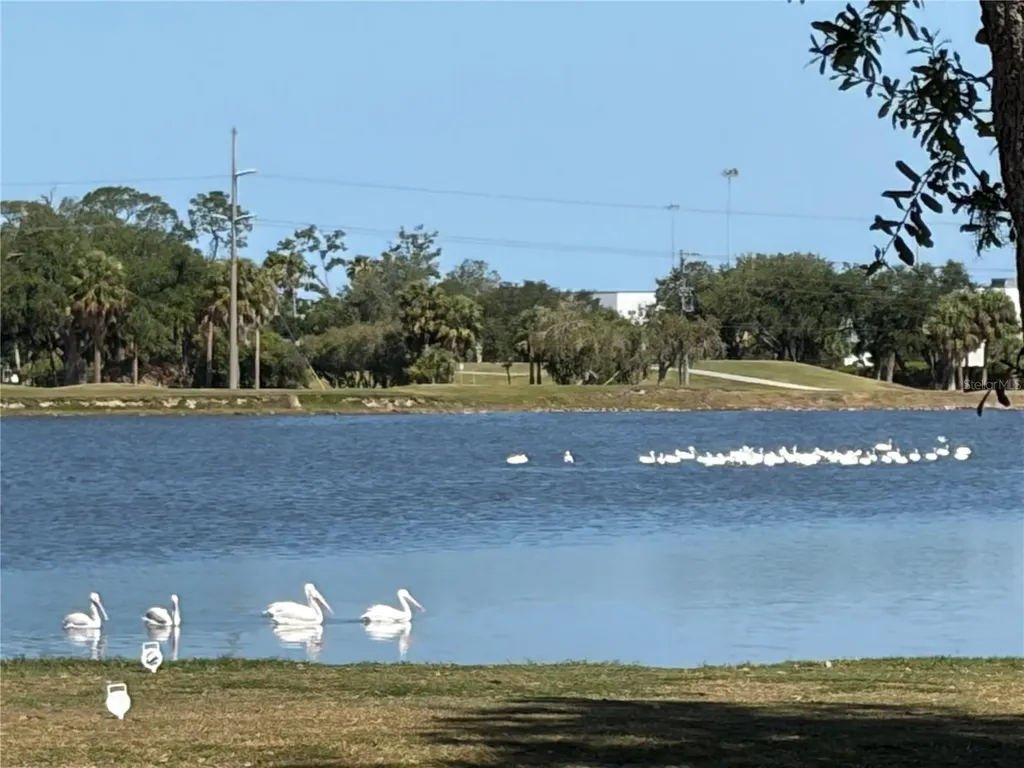 9001 69th Avenue E Palmetto FL 34221