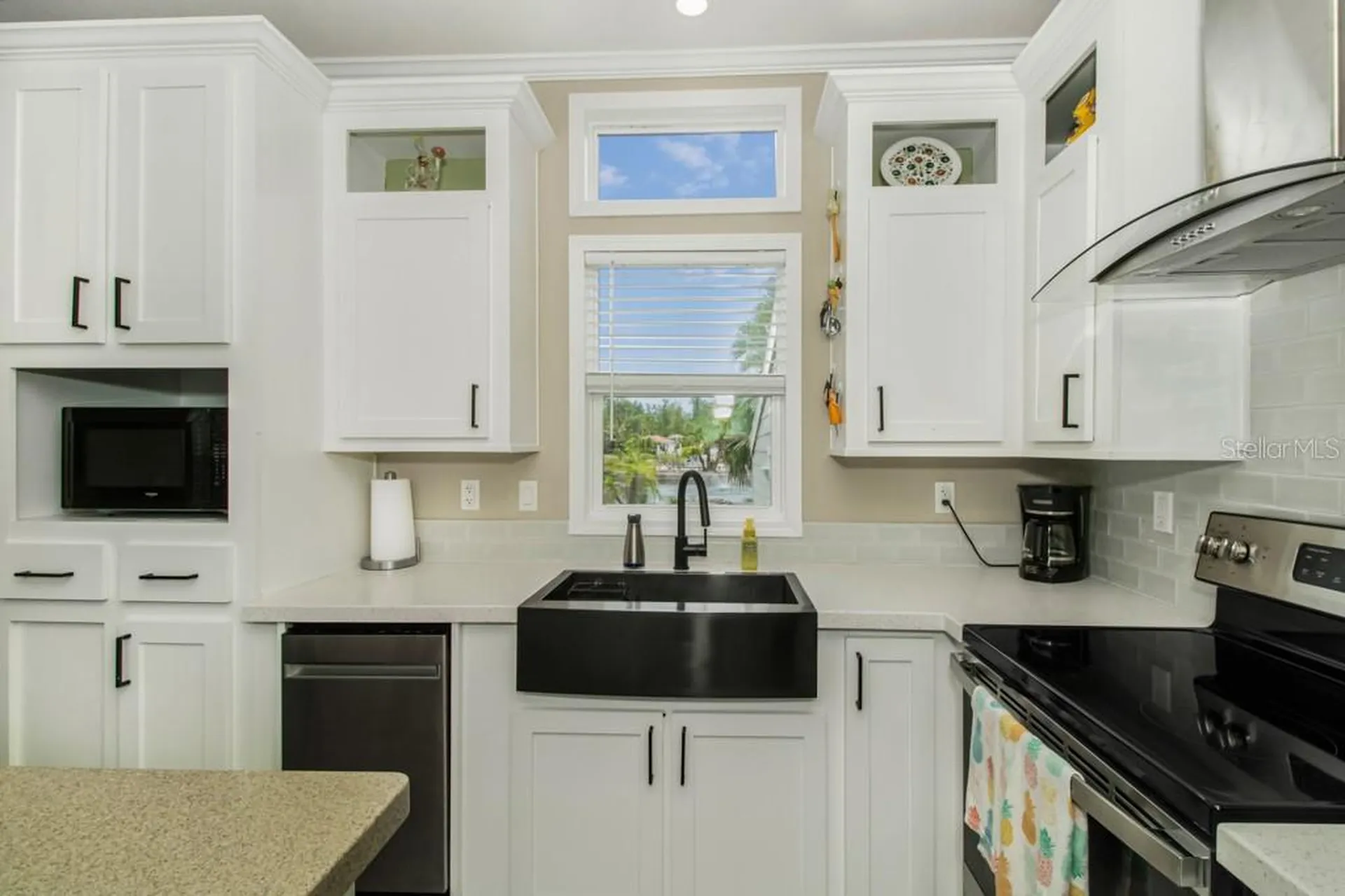 6820 Amanda Vista Circle Land O Lakes FL 34637