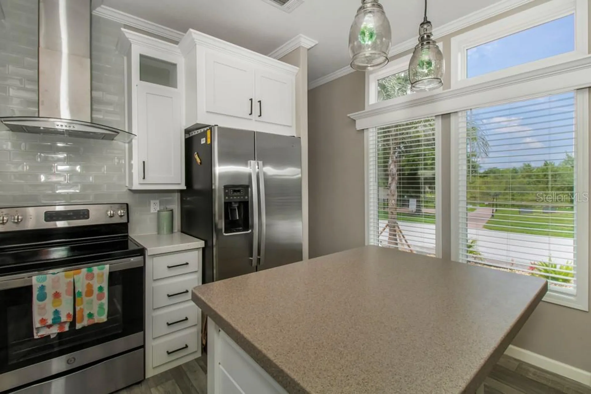 6820 Amanda Vista Circle Land O Lakes FL 34637