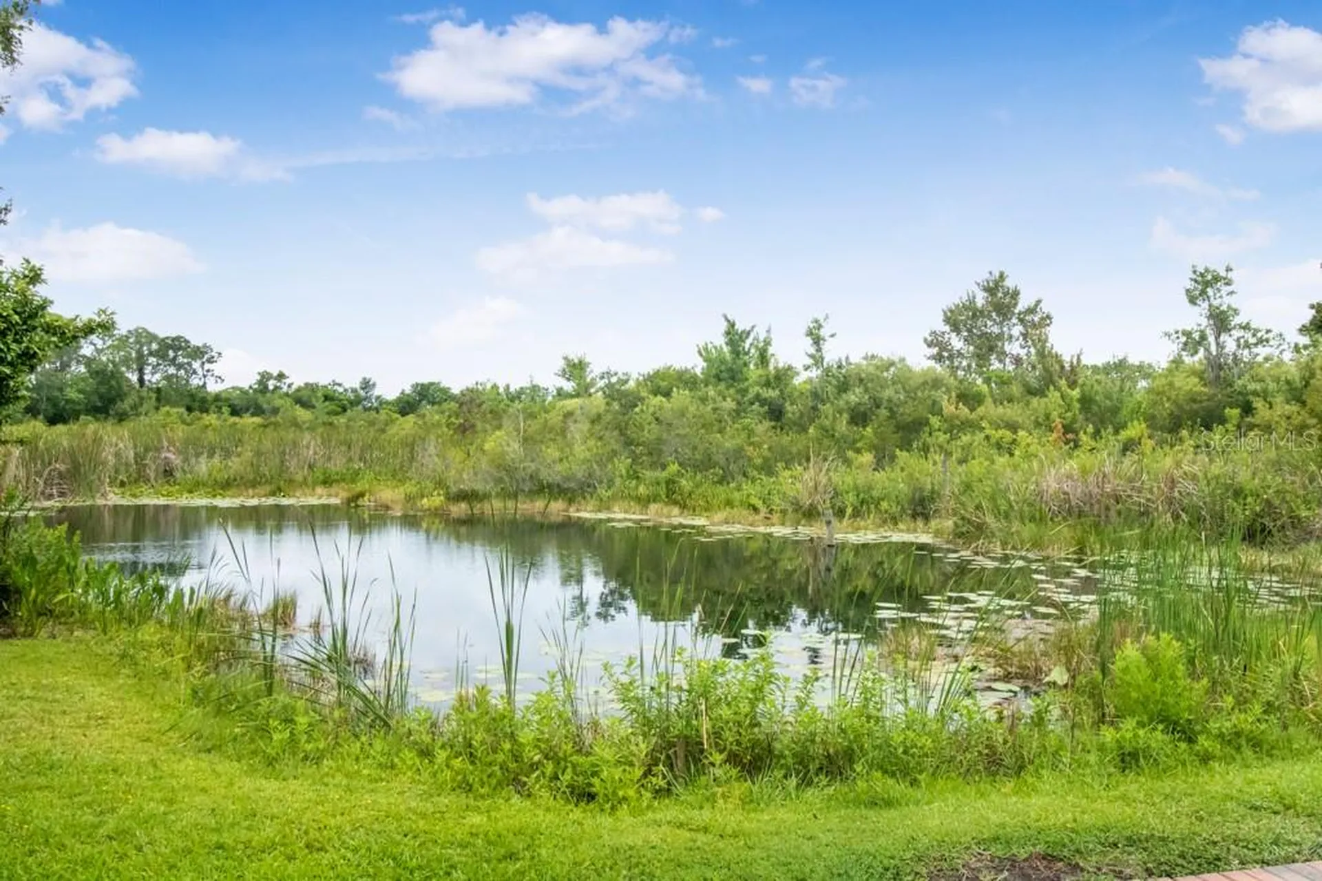 6820 Amanda Vista Circle Land O Lakes FL 34637