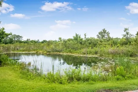 6820 Amanda Vista Circle Land O Lakes FL 34637