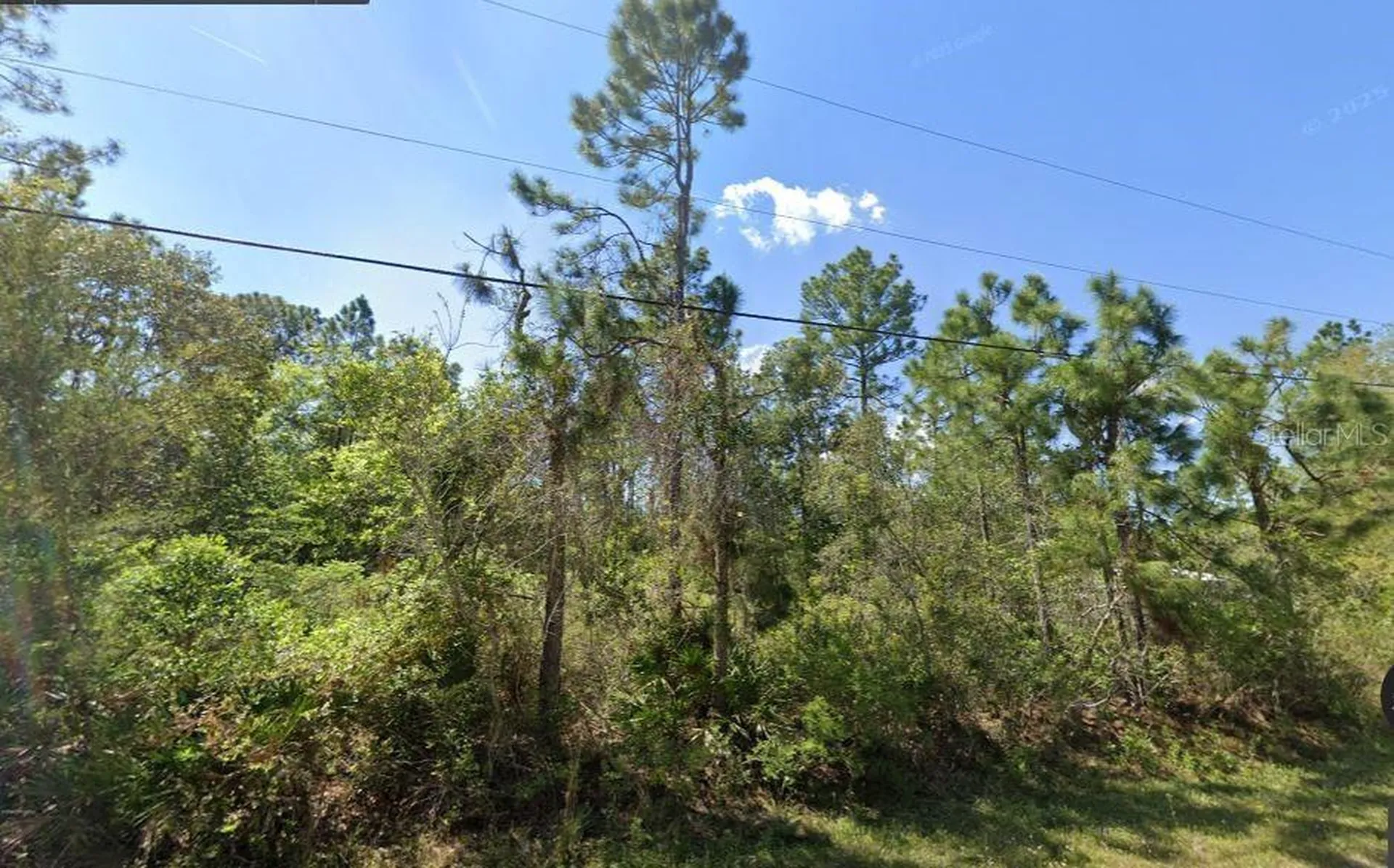 2834 Orange Blossom Street Bunnell FL 32110