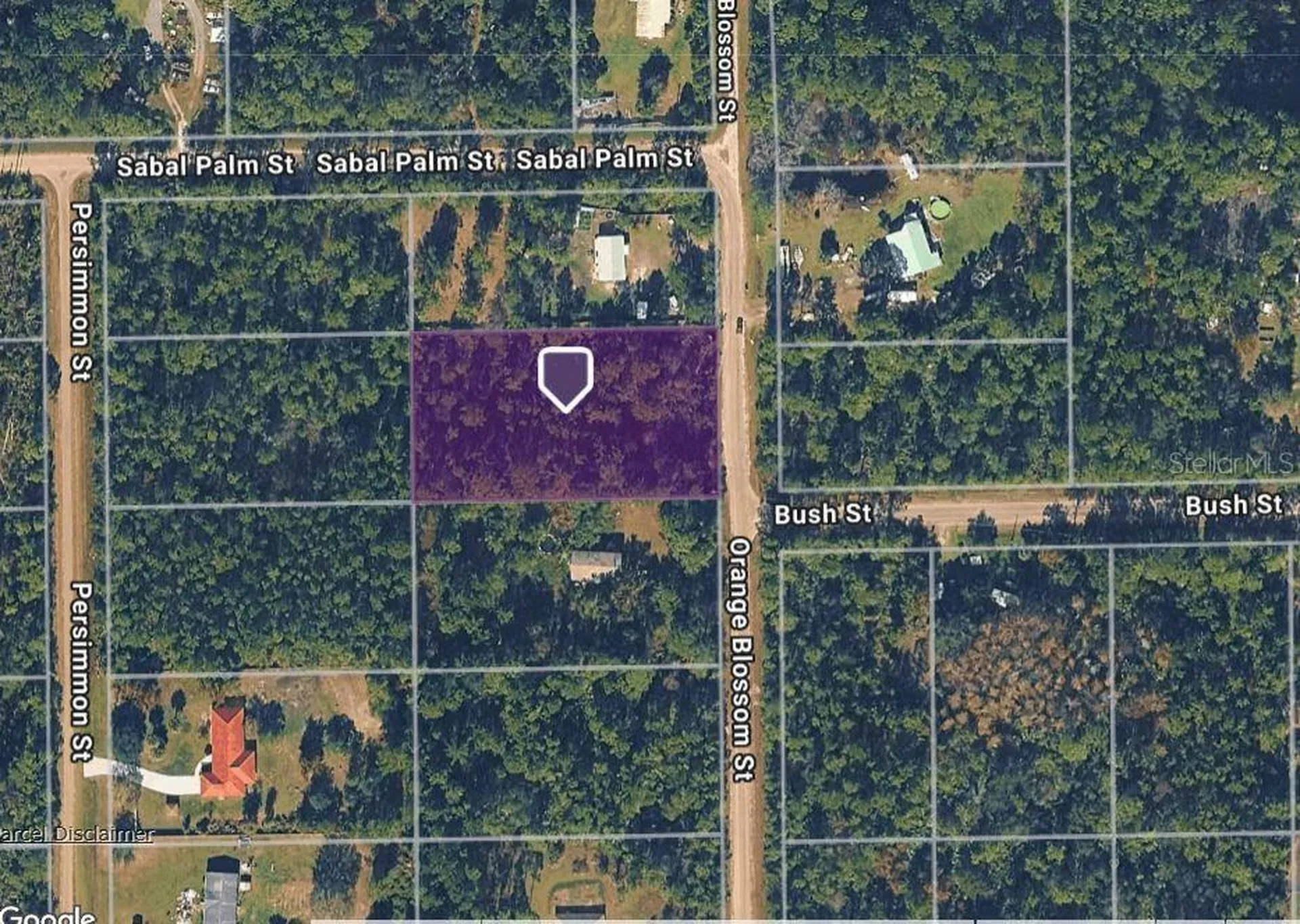 2834 Orange Blossom Street Bunnell FL 32110