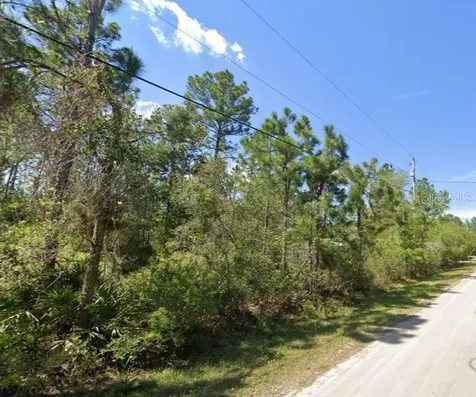 2834 Orange Blossom Street Bunnell FL 32110