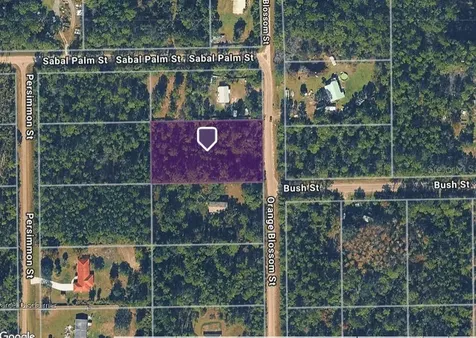 2834 Orange Blossom Street Bunnell FL 32110