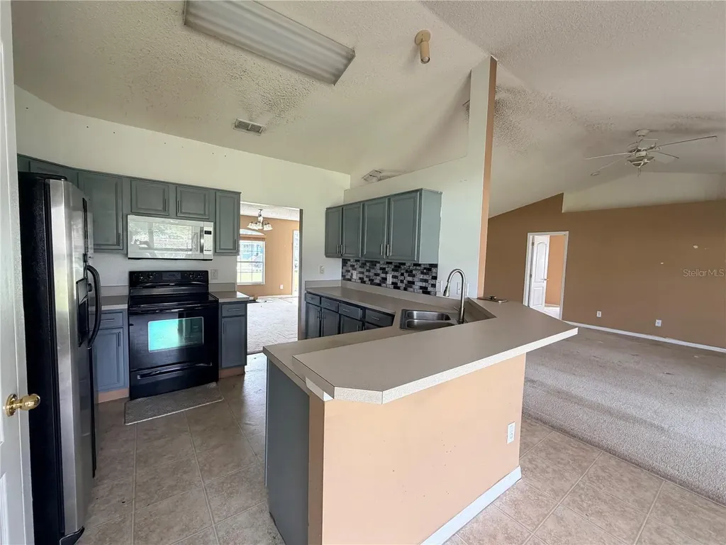 1713 Minnow Court Kissimmee FL 34759