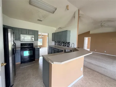 1713 Minnow Court Kissimmee FL 34759