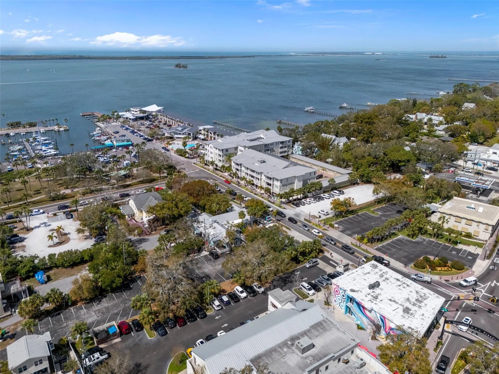 818 Wilkie Street Dunedin FL 34698
