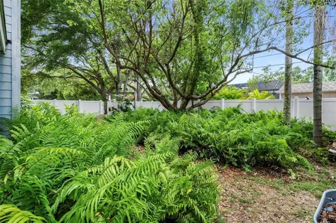 818 Wilkie Street Dunedin FL 34698