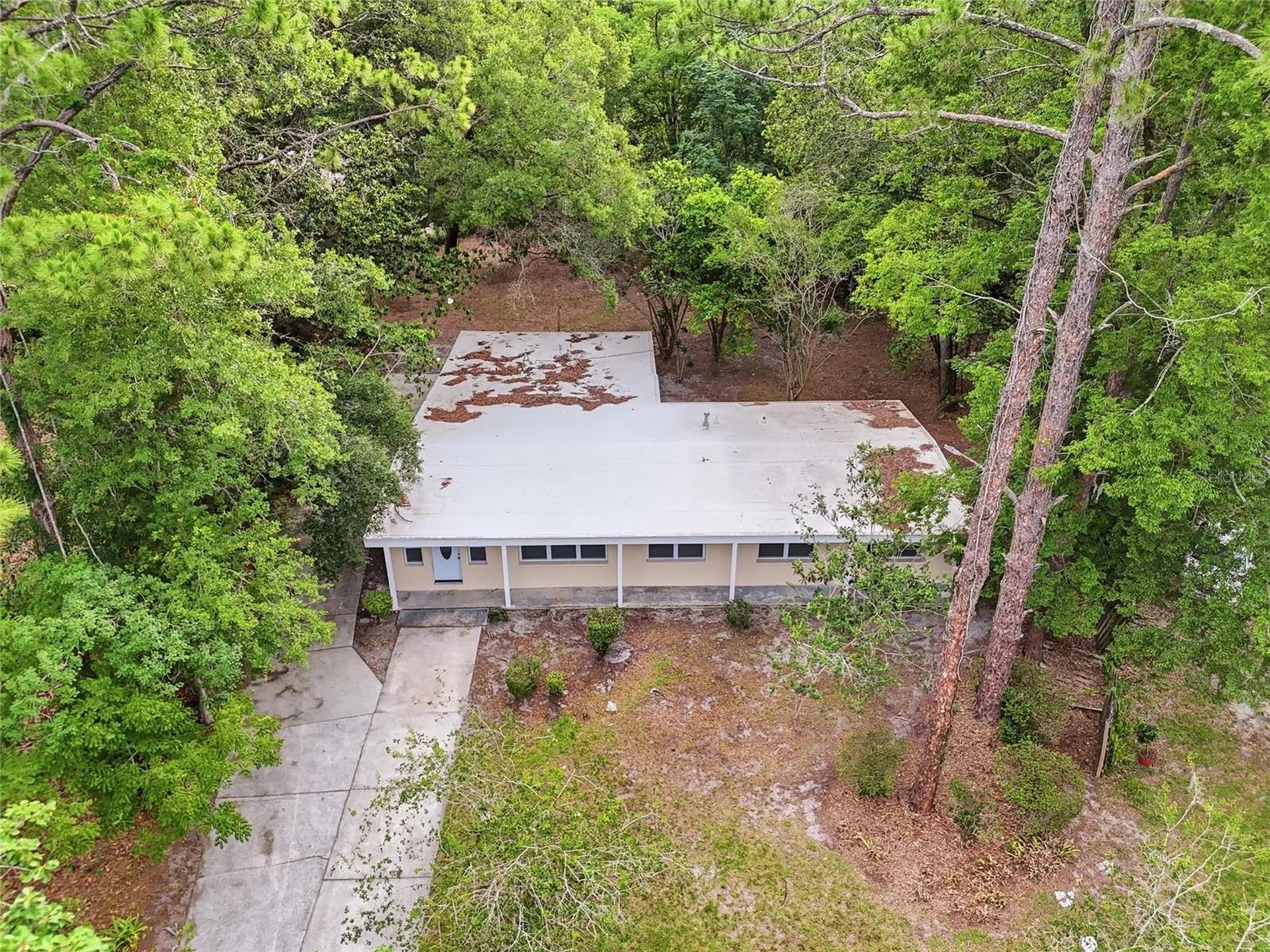 3015 NE 13th Drive Gainesville FL 32609