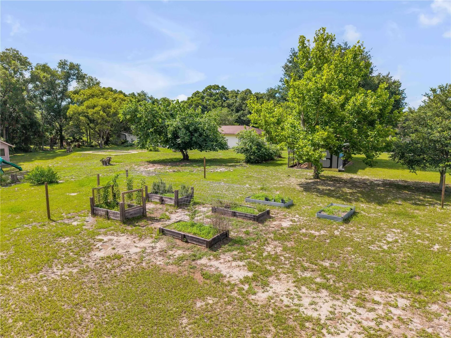 1167 Ohio Street De Leon Springs FL 32130