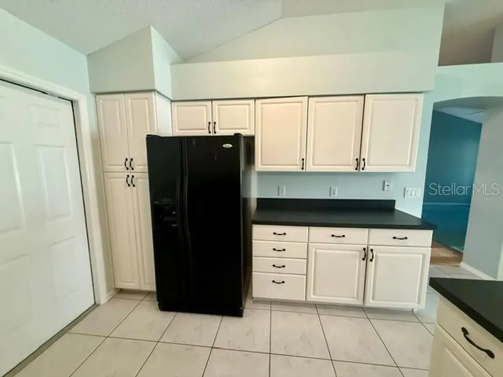 724 Vista Place Lady Lake FL 32159
