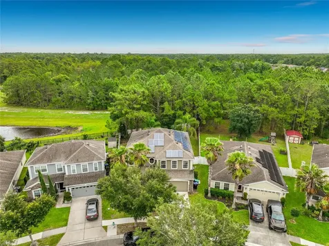 10672 Cabbage Tree Loop Orlando FL 32825