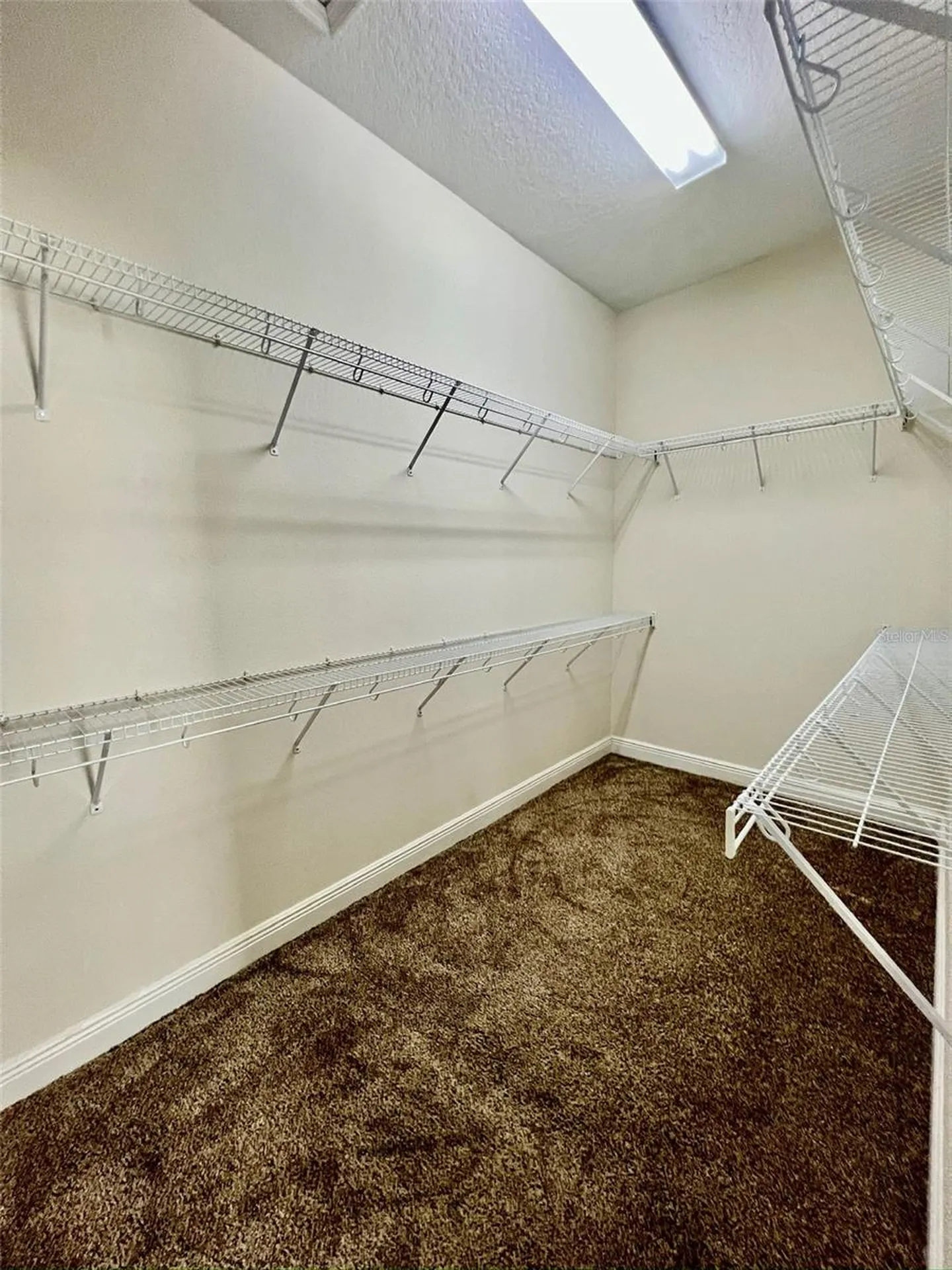 7926 Stoney Hill Drive Wesley Chapel FL 33545