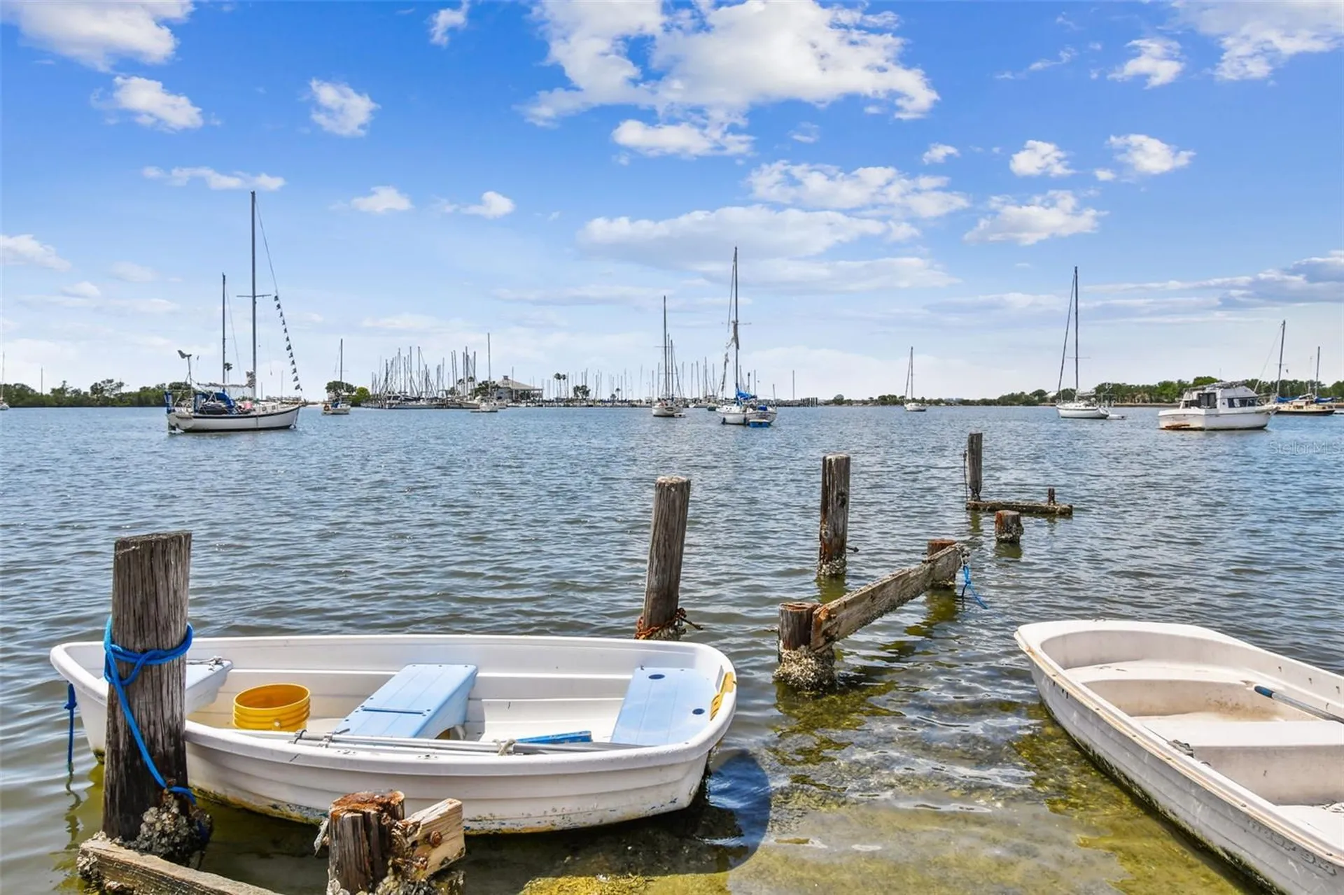159 Biscayne Avenue Tampa FL 33606