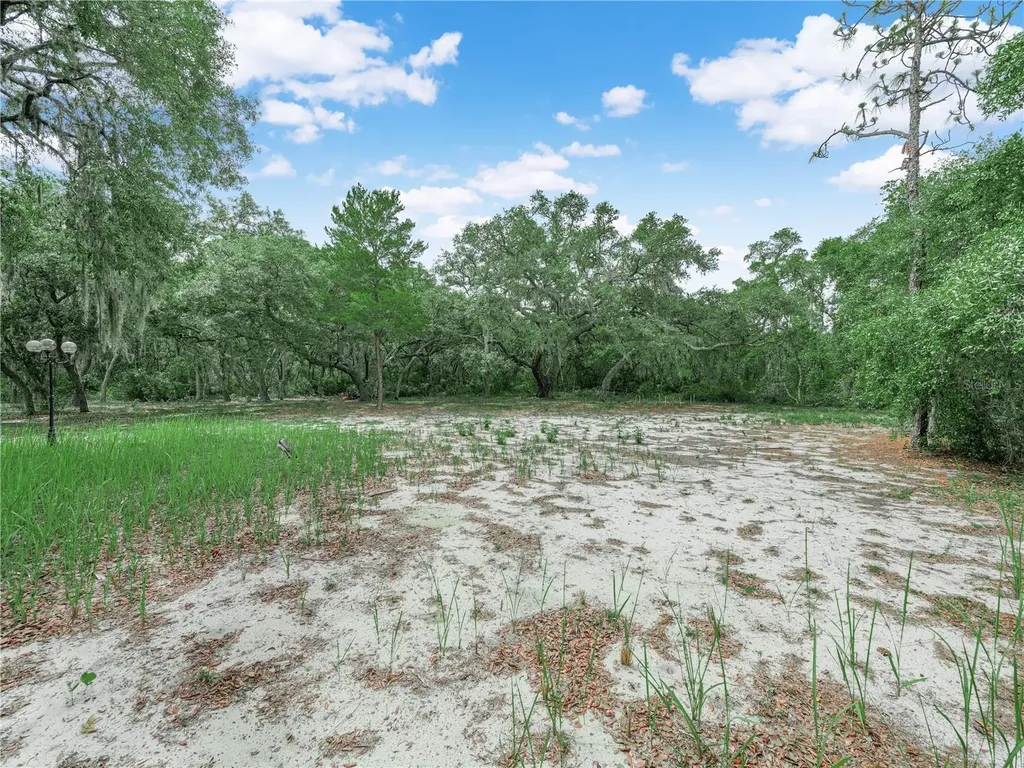 2760 Tiger Creek Trail Lake Wales FL 33898