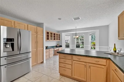 9192 SE 171st Drayton Place The Villages FL 32162