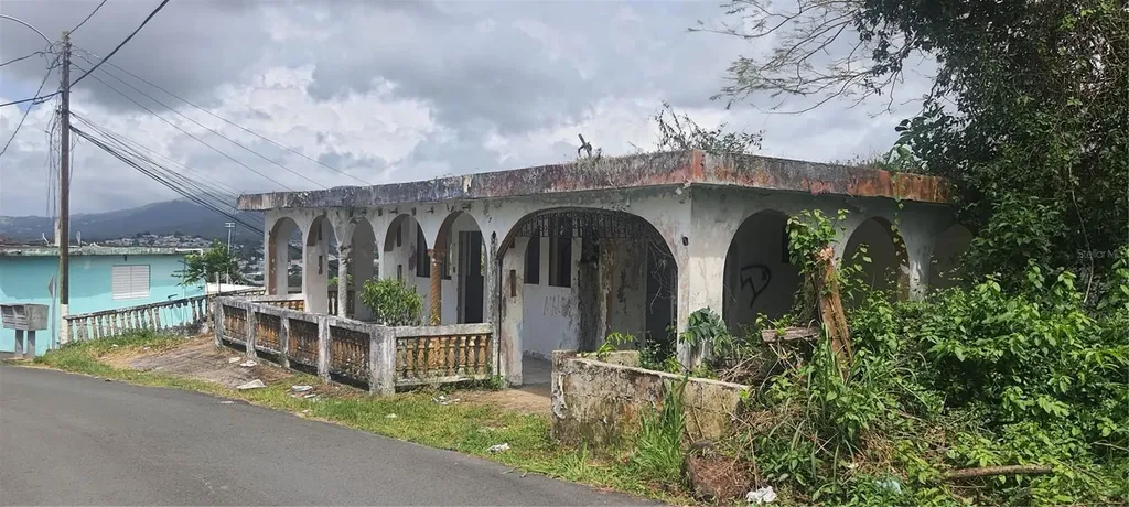 H-155 Buena Vista, Toita Ward, La Herradura Sector Cayey PR 00736