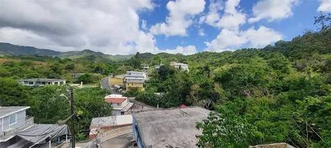 H-155 Buena Vista, Toita Ward, La Herradura Sector Cayey PR 00736