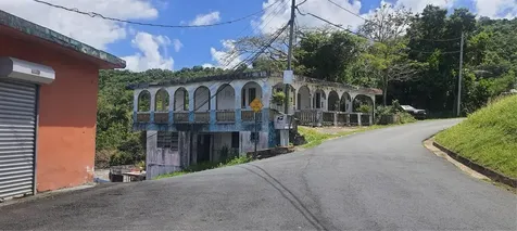 H-155 Buena Vista, Toita Ward, La Herradura Sector Cayey PR 00736