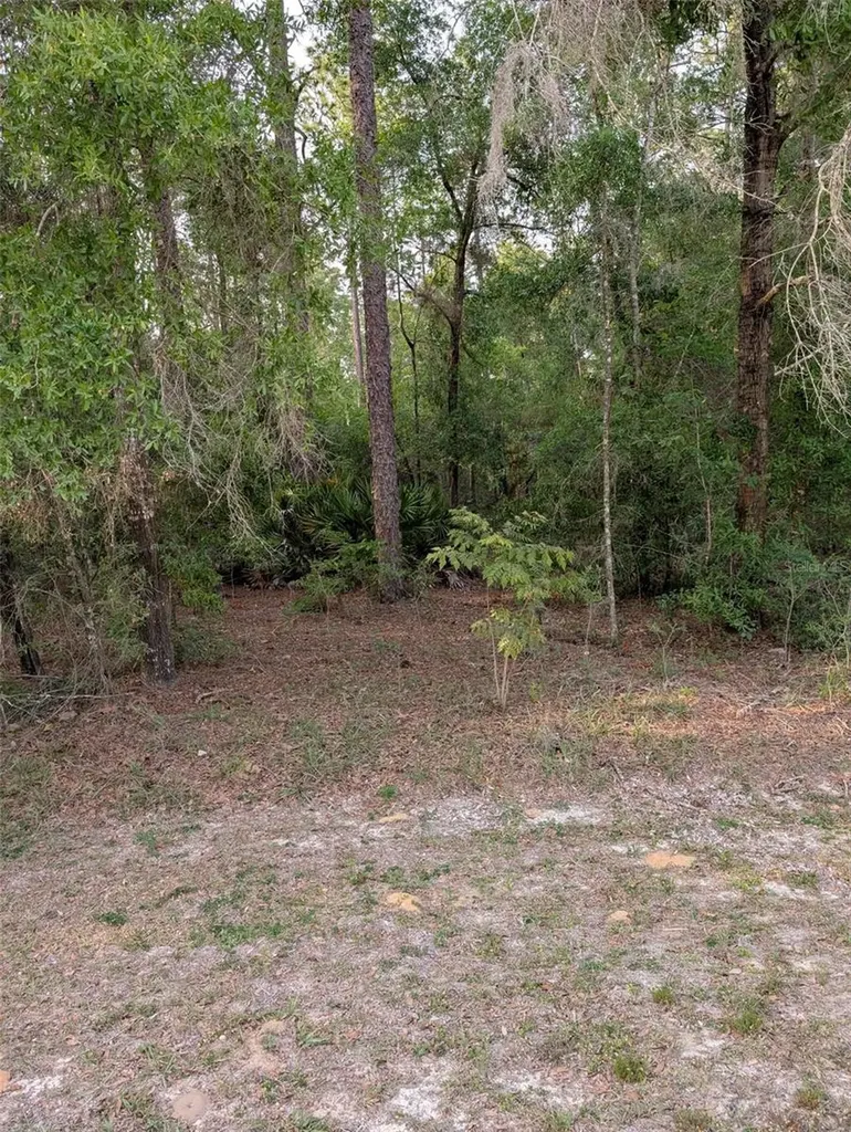 15475 SW 36th Street Ocala FL 34481