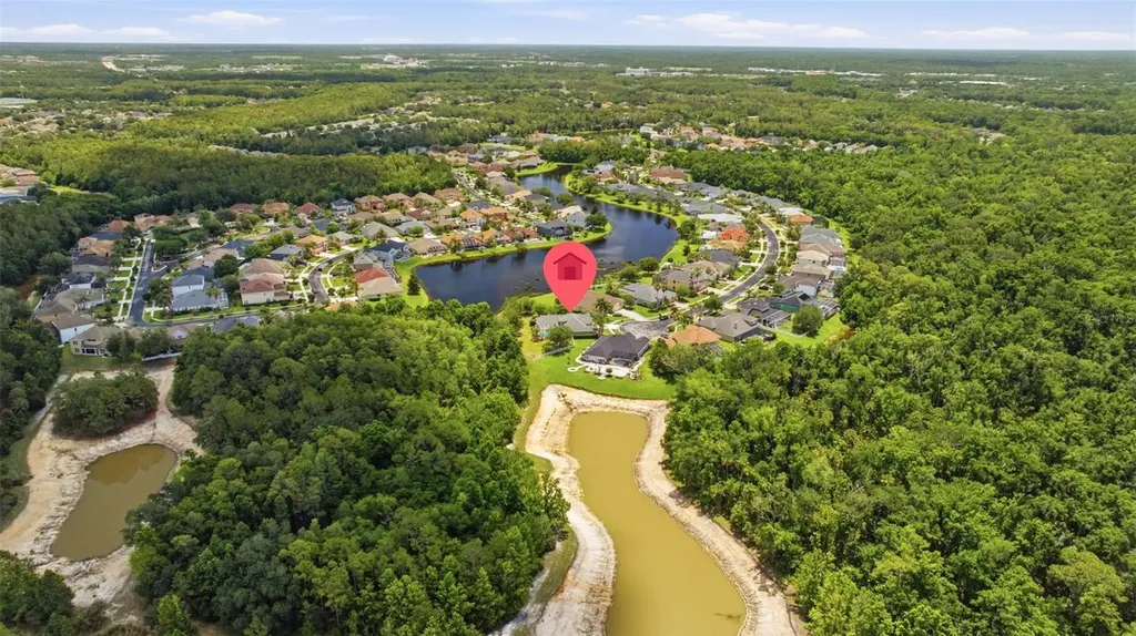 26641 Winged Elm Drive Wesley Chapel FL 33544