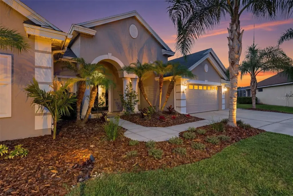 26641 Winged Elm Drive Wesley Chapel FL 33544