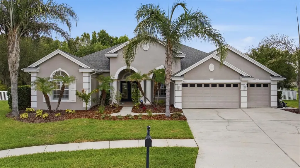 26641 Winged Elm Drive Wesley Chapel FL 33544