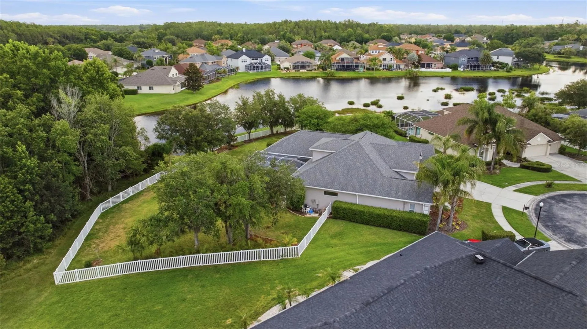26641 Winged Elm Drive Wesley Chapel FL 33544