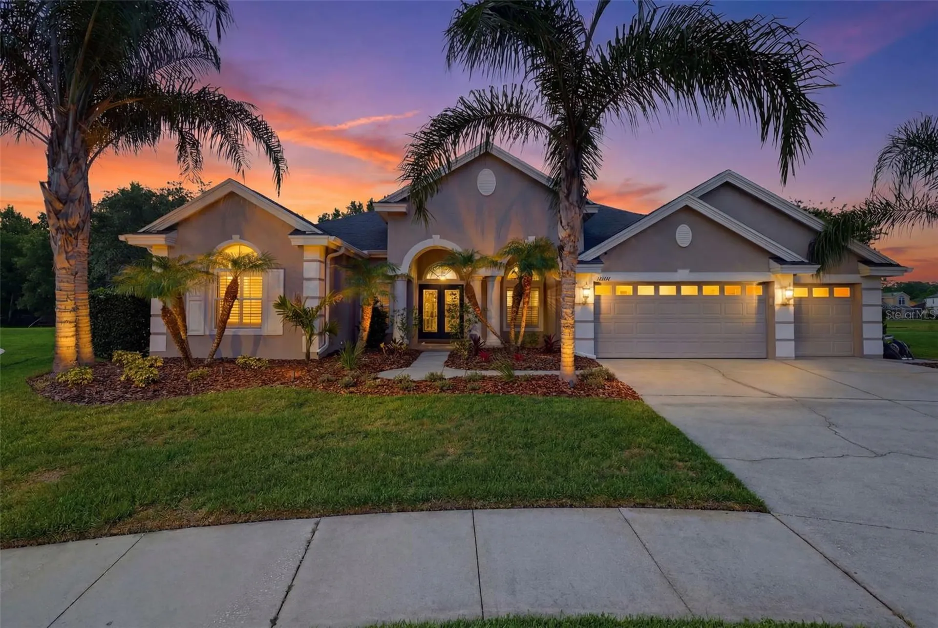 26641 Winged Elm Drive Wesley Chapel FL 33544