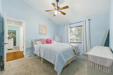 26641 Winged Elm Drive Wesley Chapel FL 33544